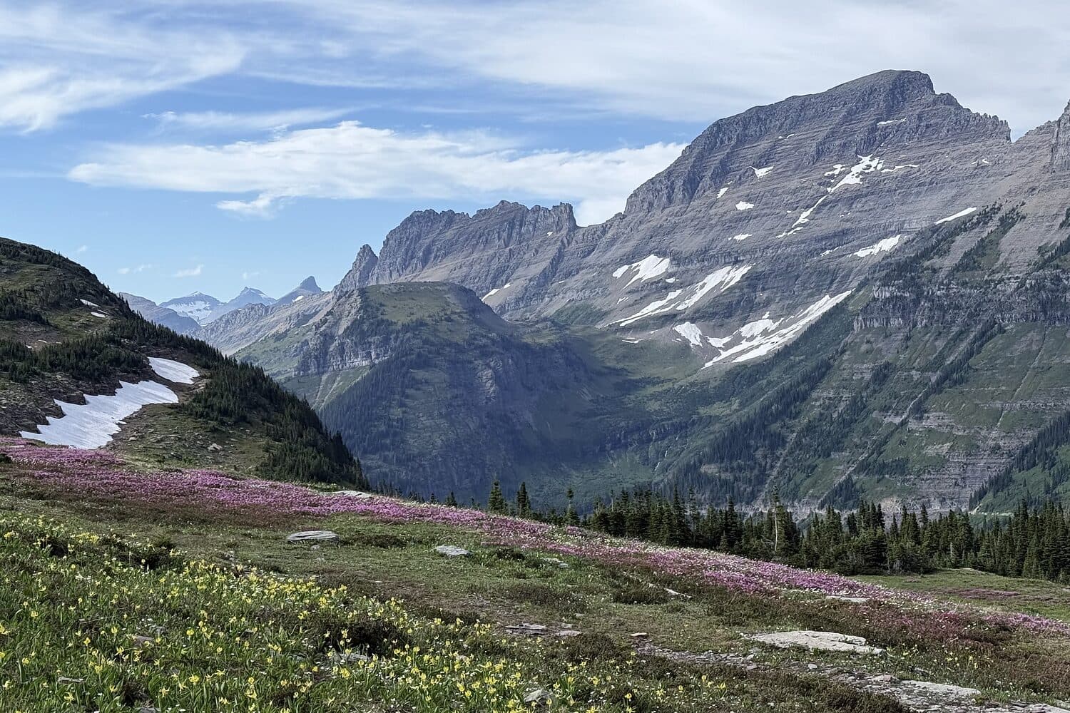Late snow and wildflowers in the basin below Logan Pass, Glacier National Park, Montana