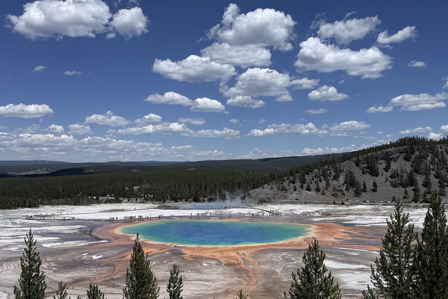 Grand Prismatic Spring seen from the ridge above it, steam drifting over the terraces, Yellowstone, Wyoming