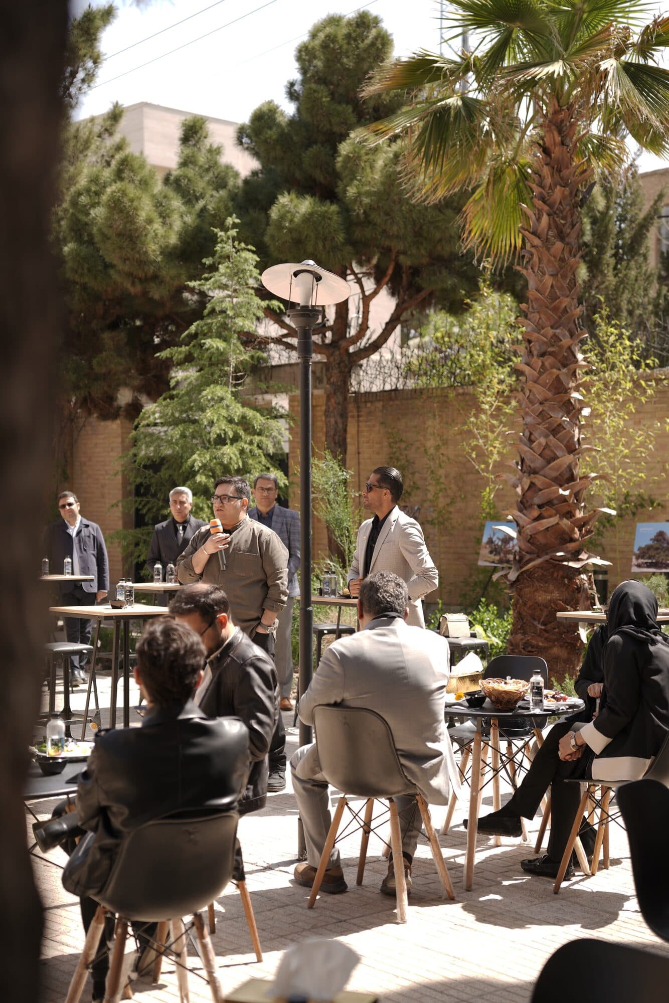 Members seated at low tables under the pines and a date palm, mid-morning